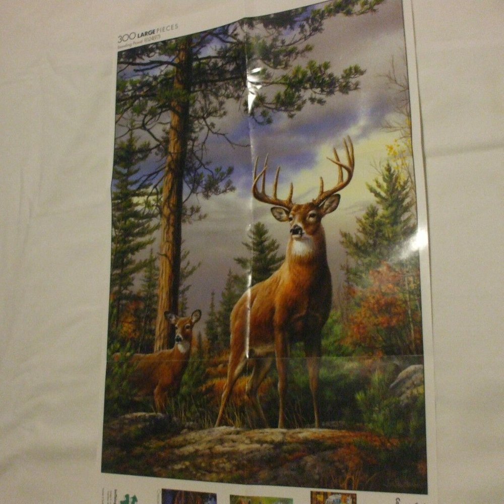 Hautman Brothers Collection Puzzle (02497) Standin